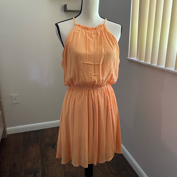 Women’s Dress - Picture 2 of 8